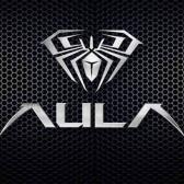 Aulagaming US