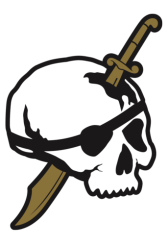Black Flag