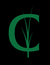 Criquet Shirts