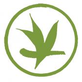 Verdant Tea (US)
