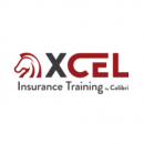 XCEL Testing Solutions