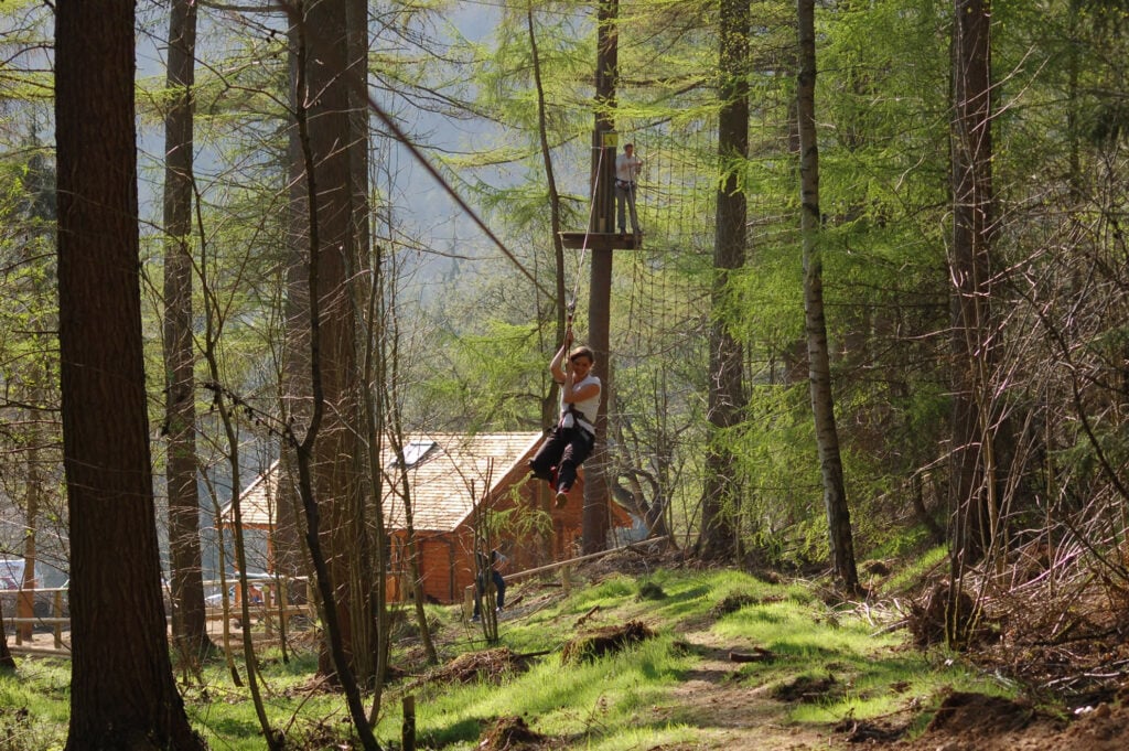 Go Ape! Dalby Forest