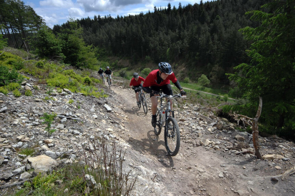 mountain bikes in Dalby Forest