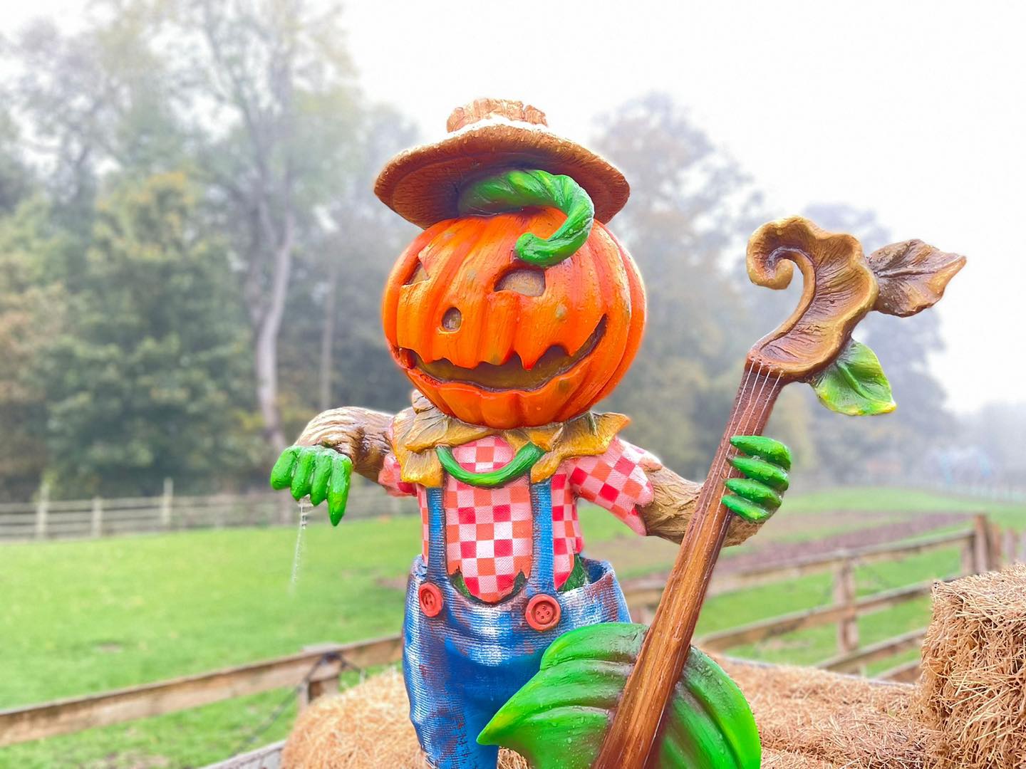 stockeld-park-pumpkin-character