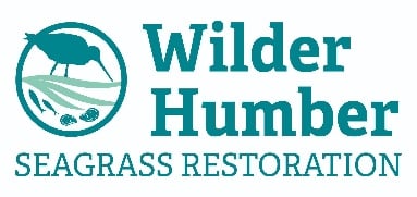 Wildlife Humber