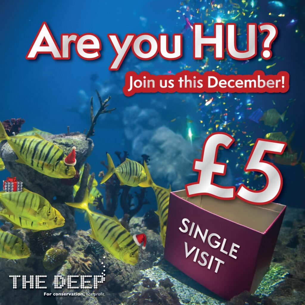 The Deep