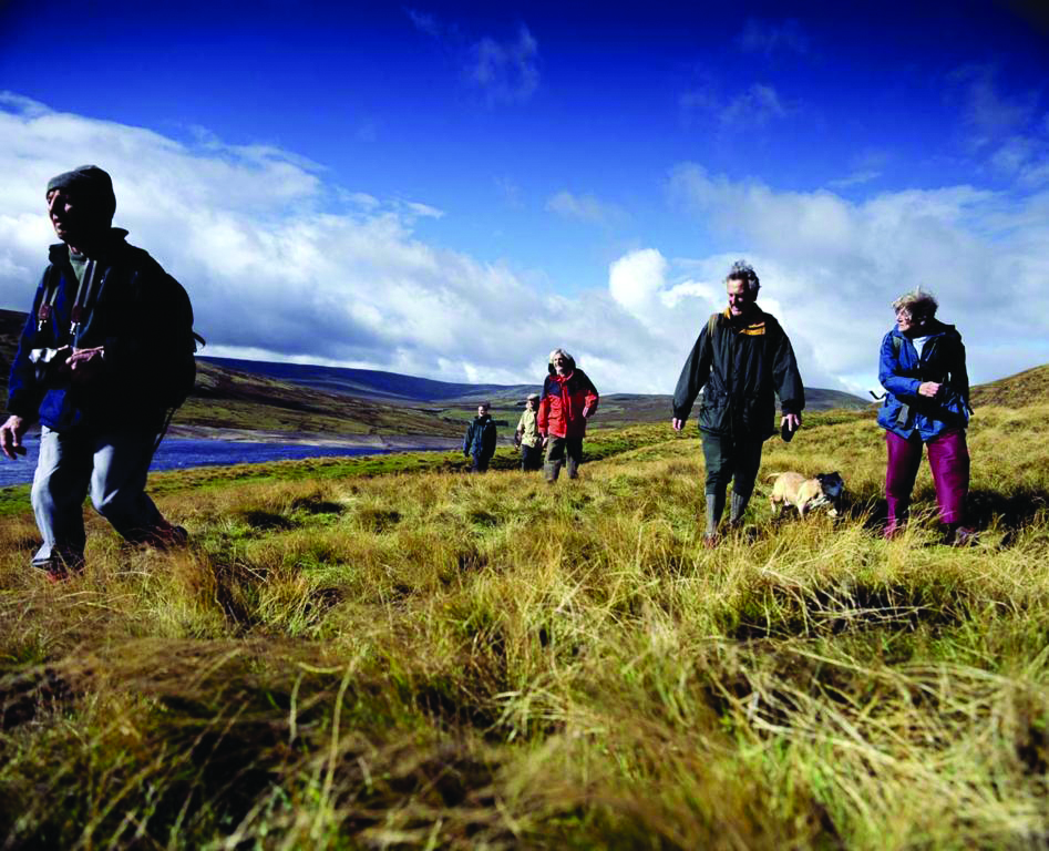 4 Nature Walks for the Seasons