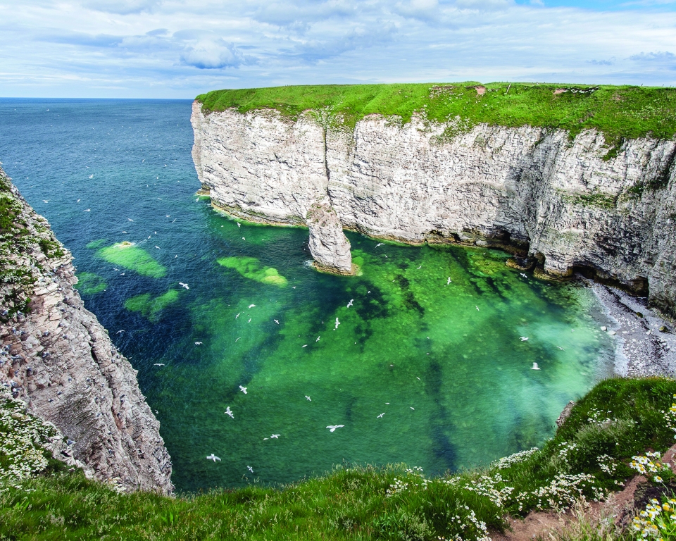 Discovering Yorkshire’s Seabird City