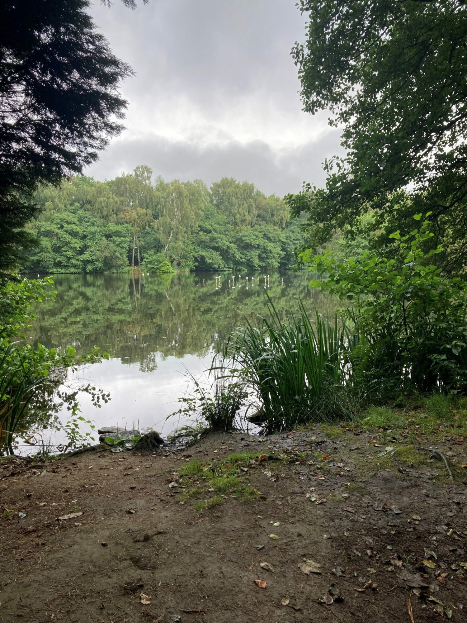 St Ives Estate Bingley