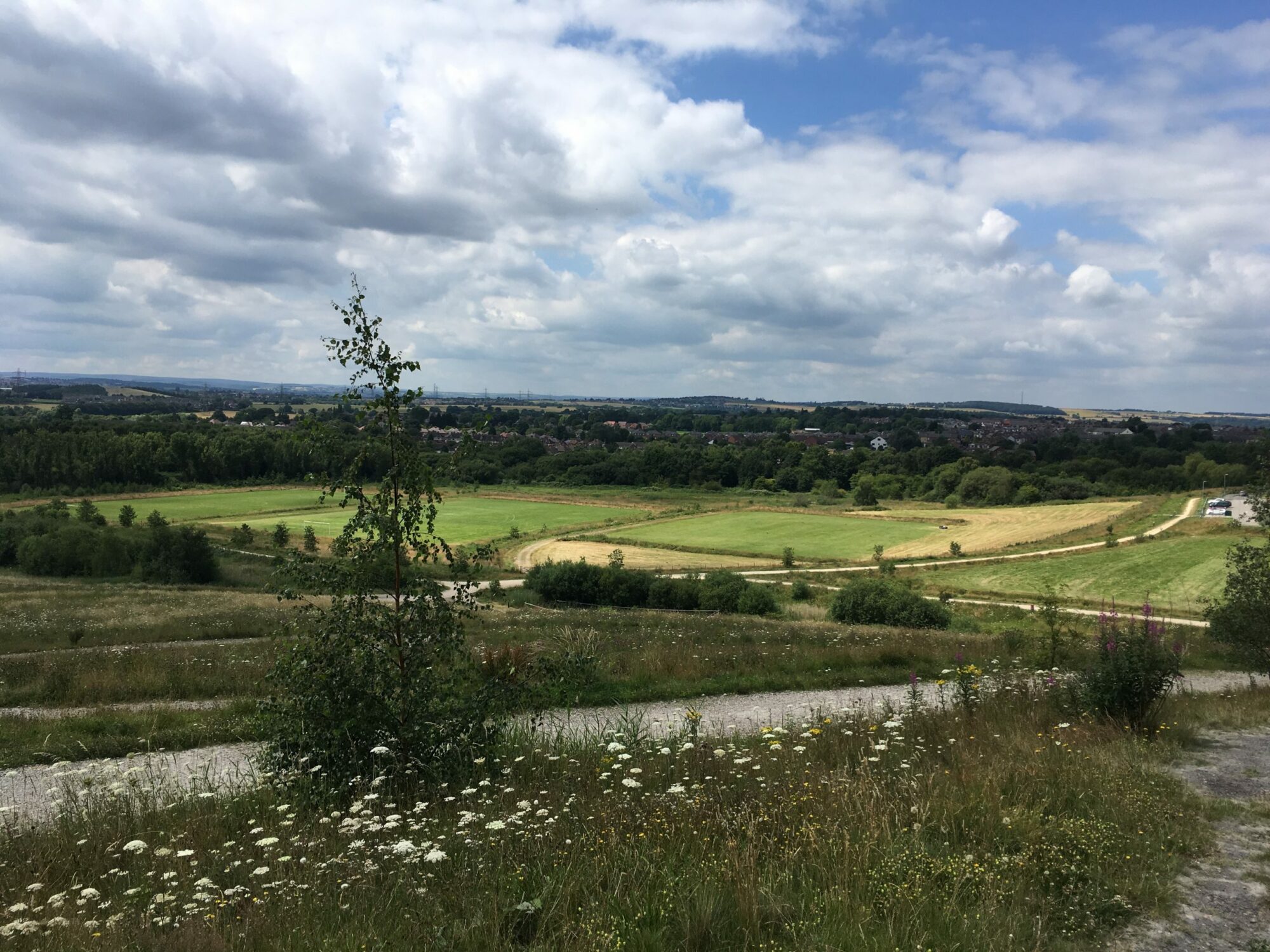 Walk: Rabbit Ings, Barnsley