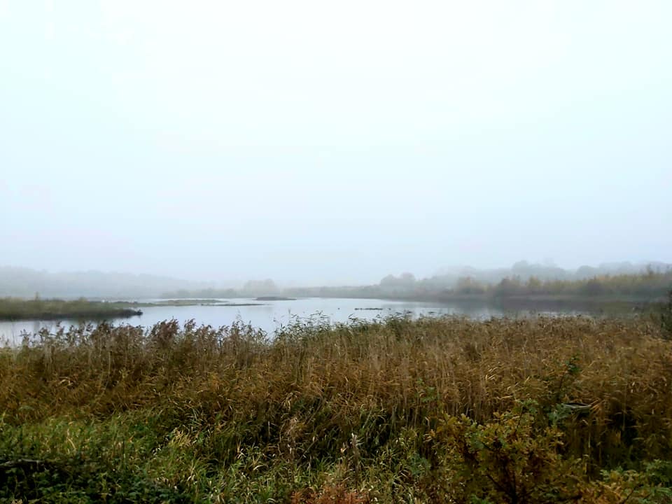 A family walk around RSPB St Aidan's