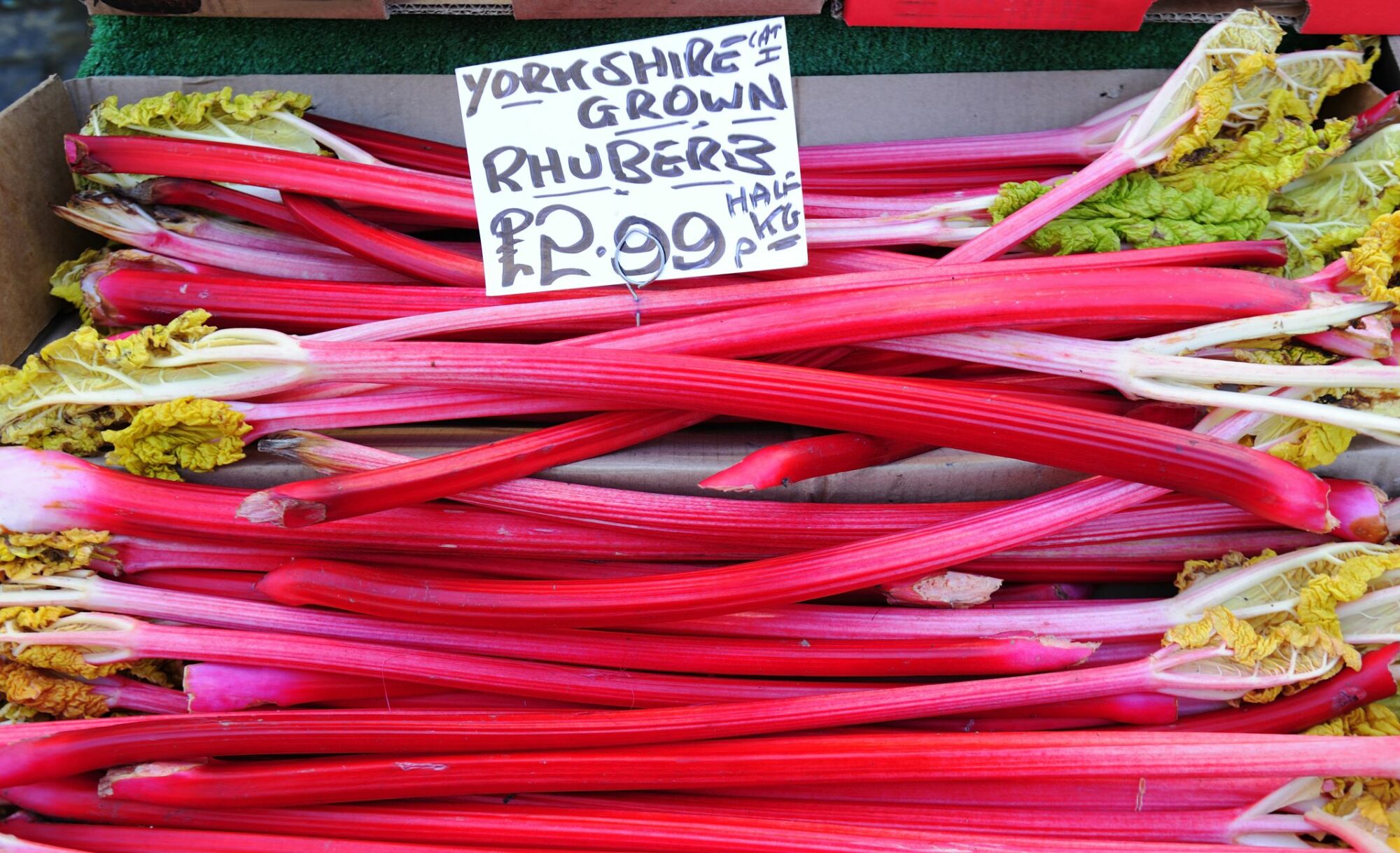 Yorkshire Forced Rhubarb Crumble