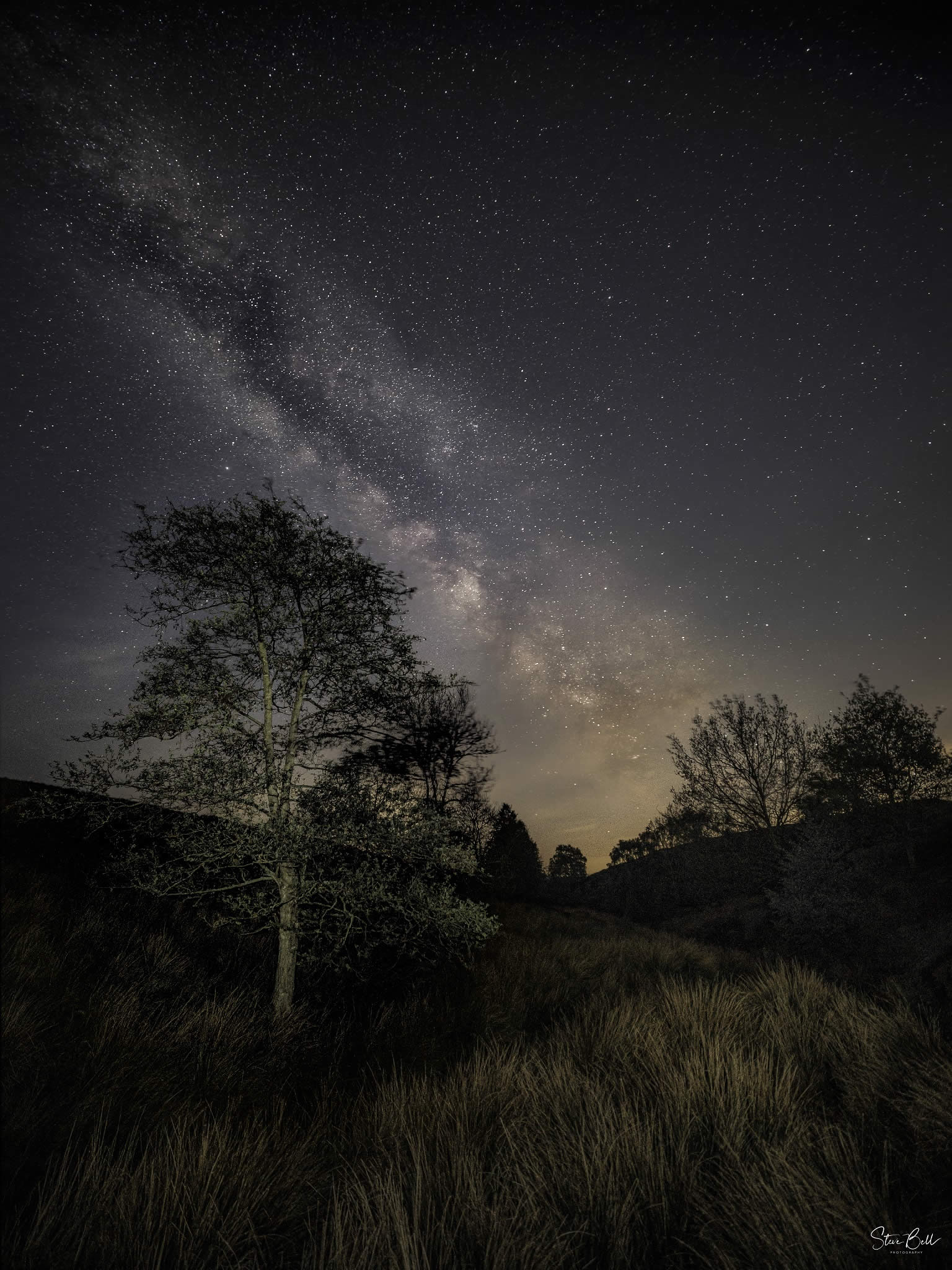 See the stars