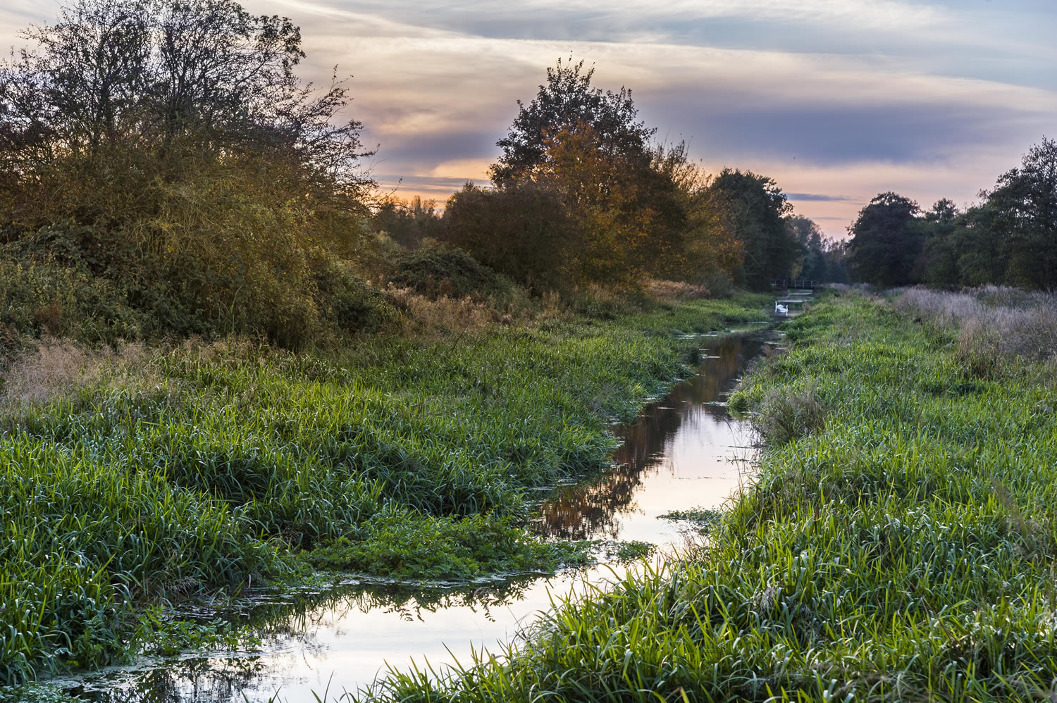 Canal Head Walk, Pocklington