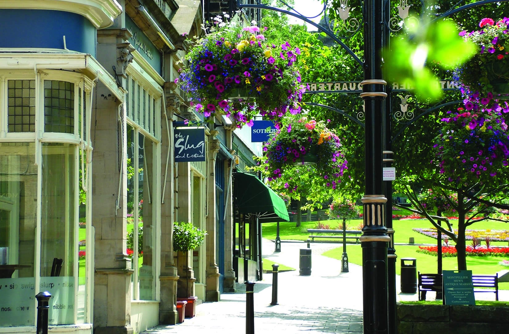 Weekly Newsletter - Friday 10th February 2023