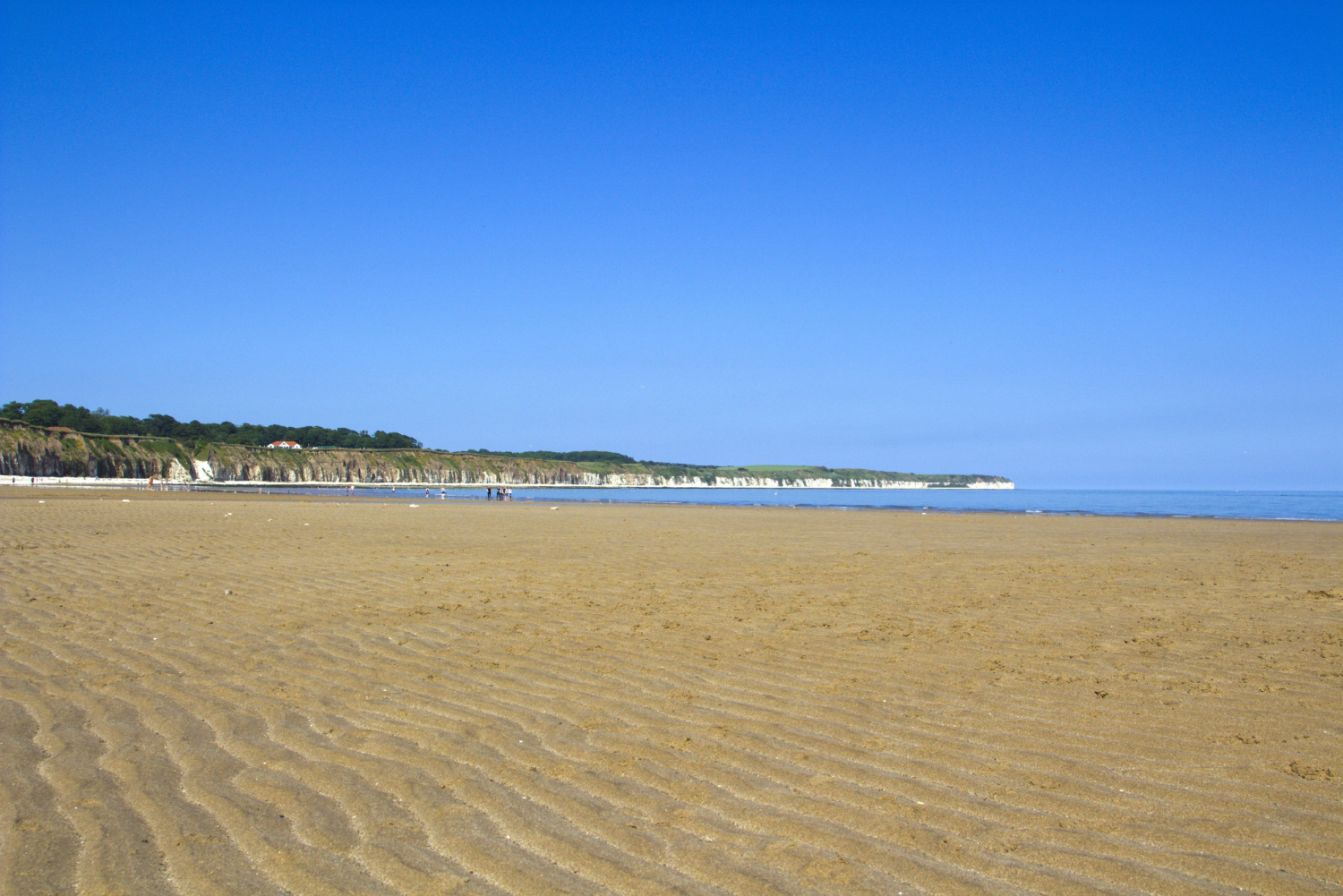 Newsletter: Friday 21st June 2024