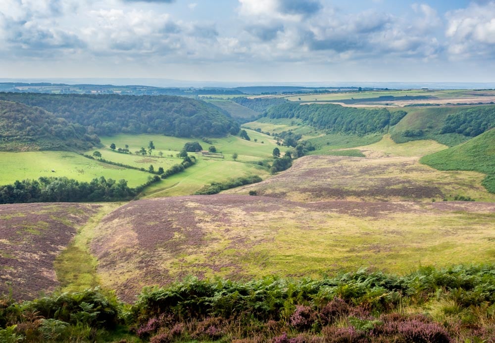 Best North York Moors Walks - Options & Information