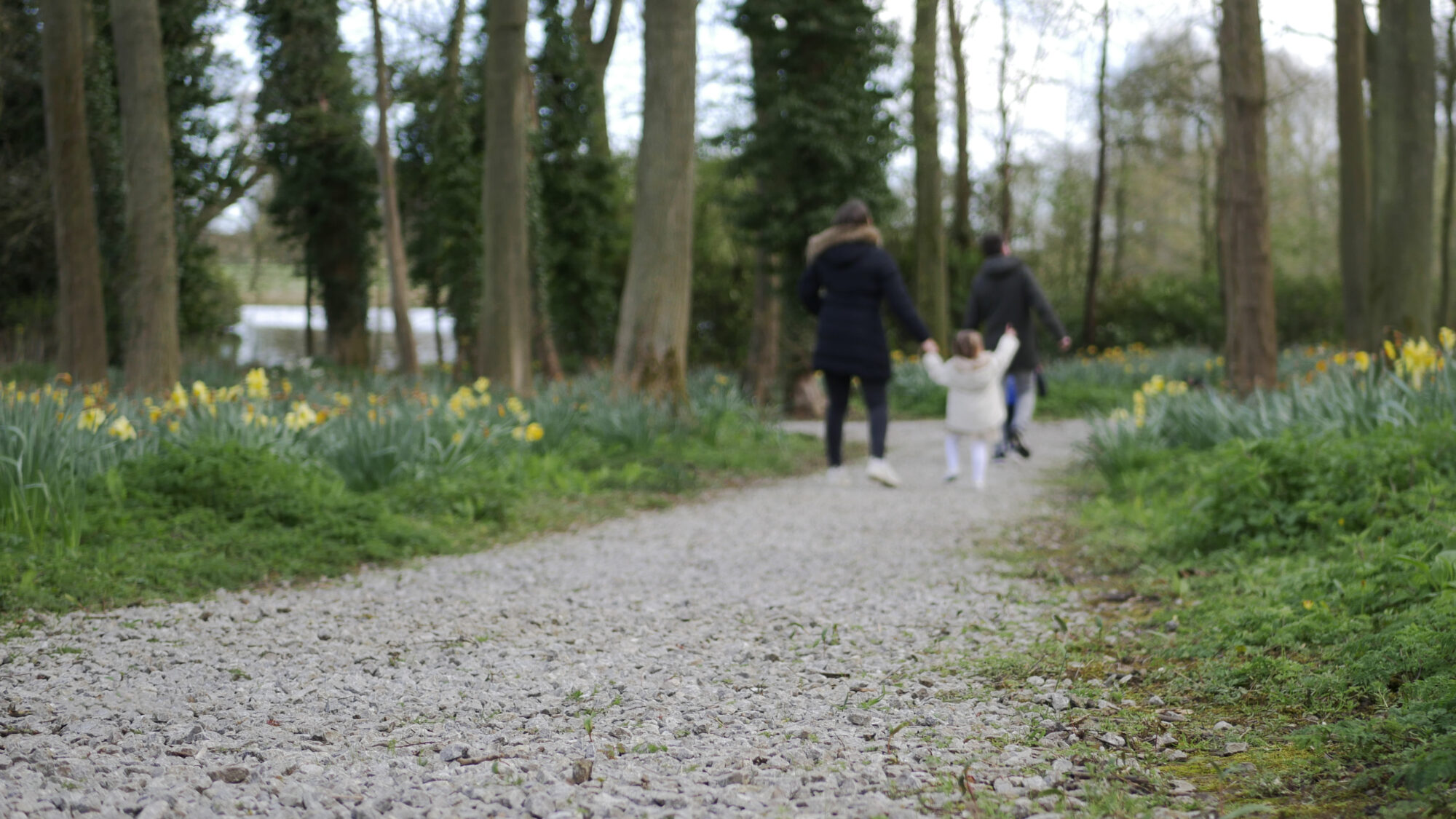Walking Trails Northallerton Stunning Landscape & Routes