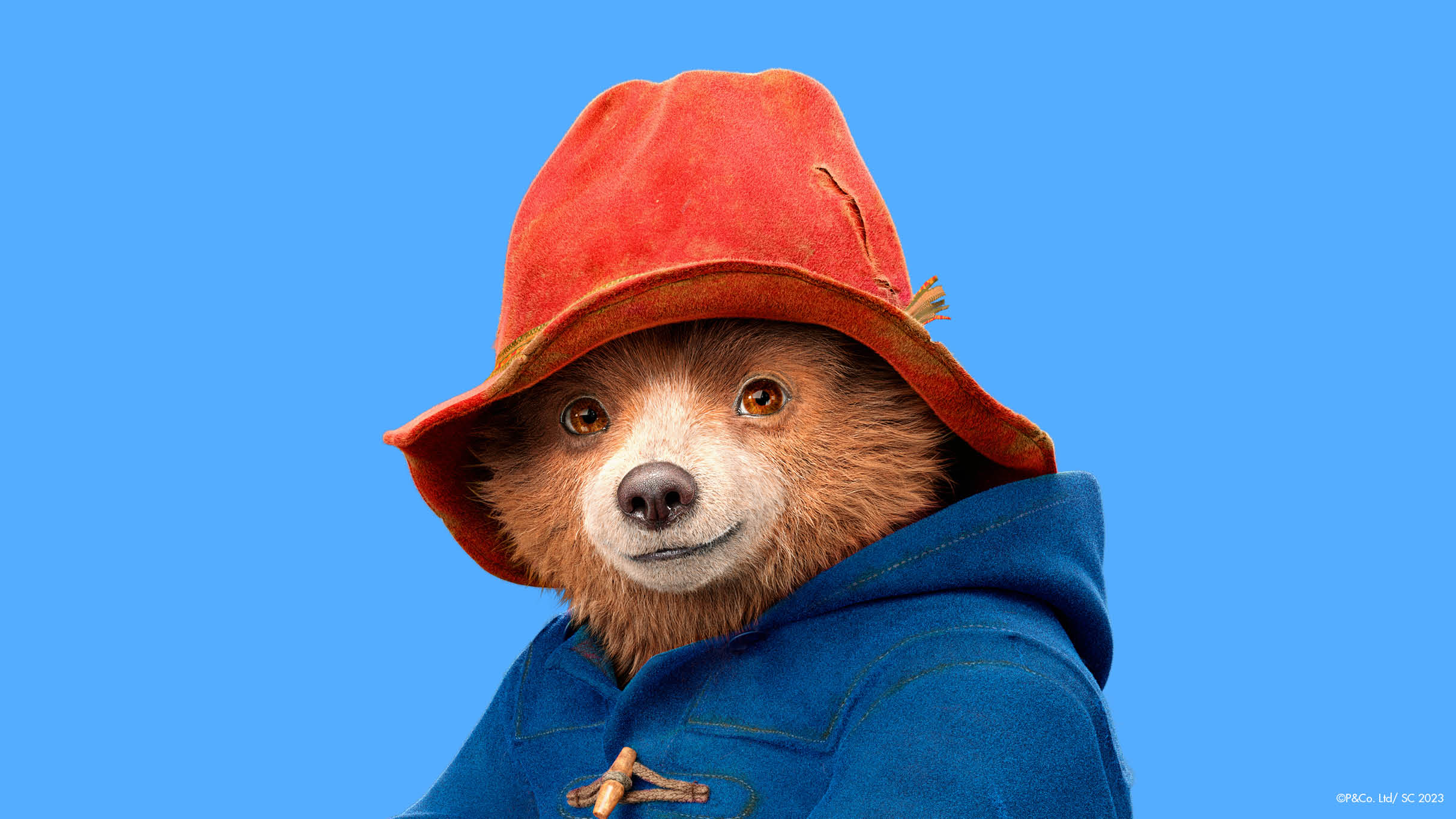 Can You Meet Paddington Bear on the North Yorkshire Moors Railway?