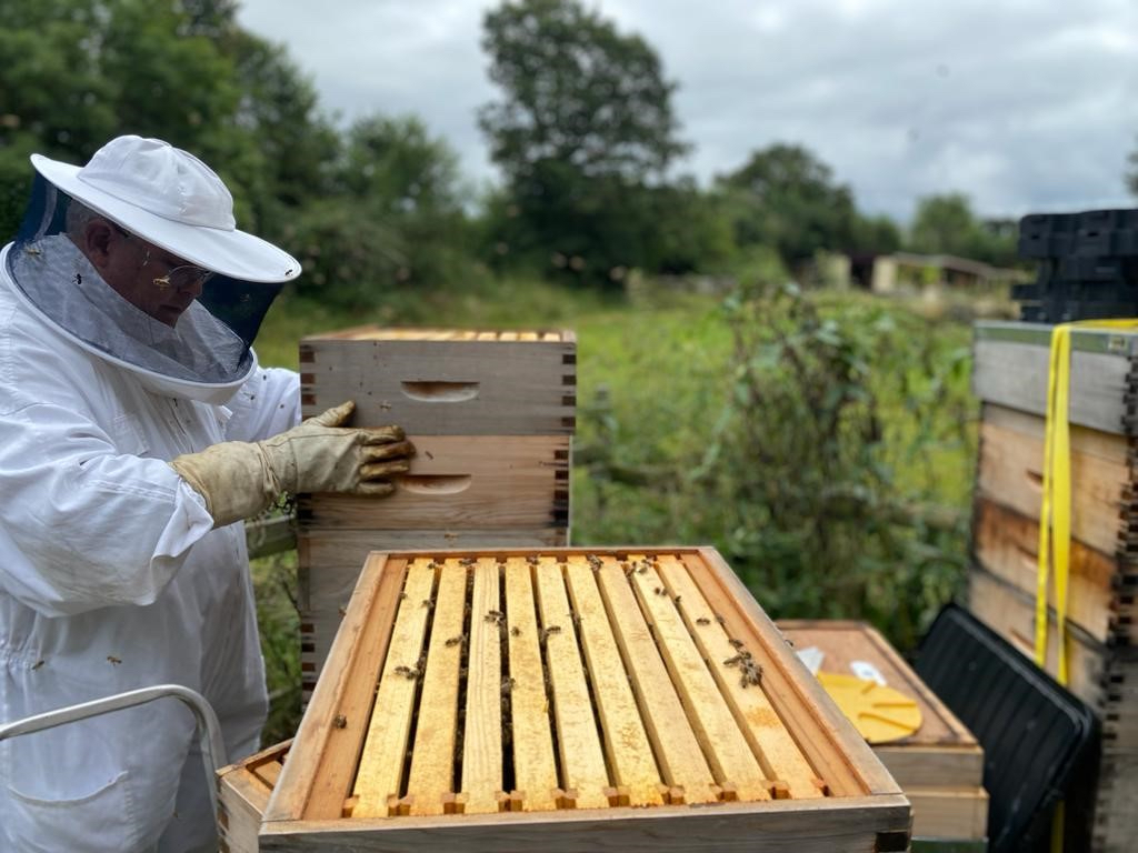 Beekeeping Experience at Carlton Towers