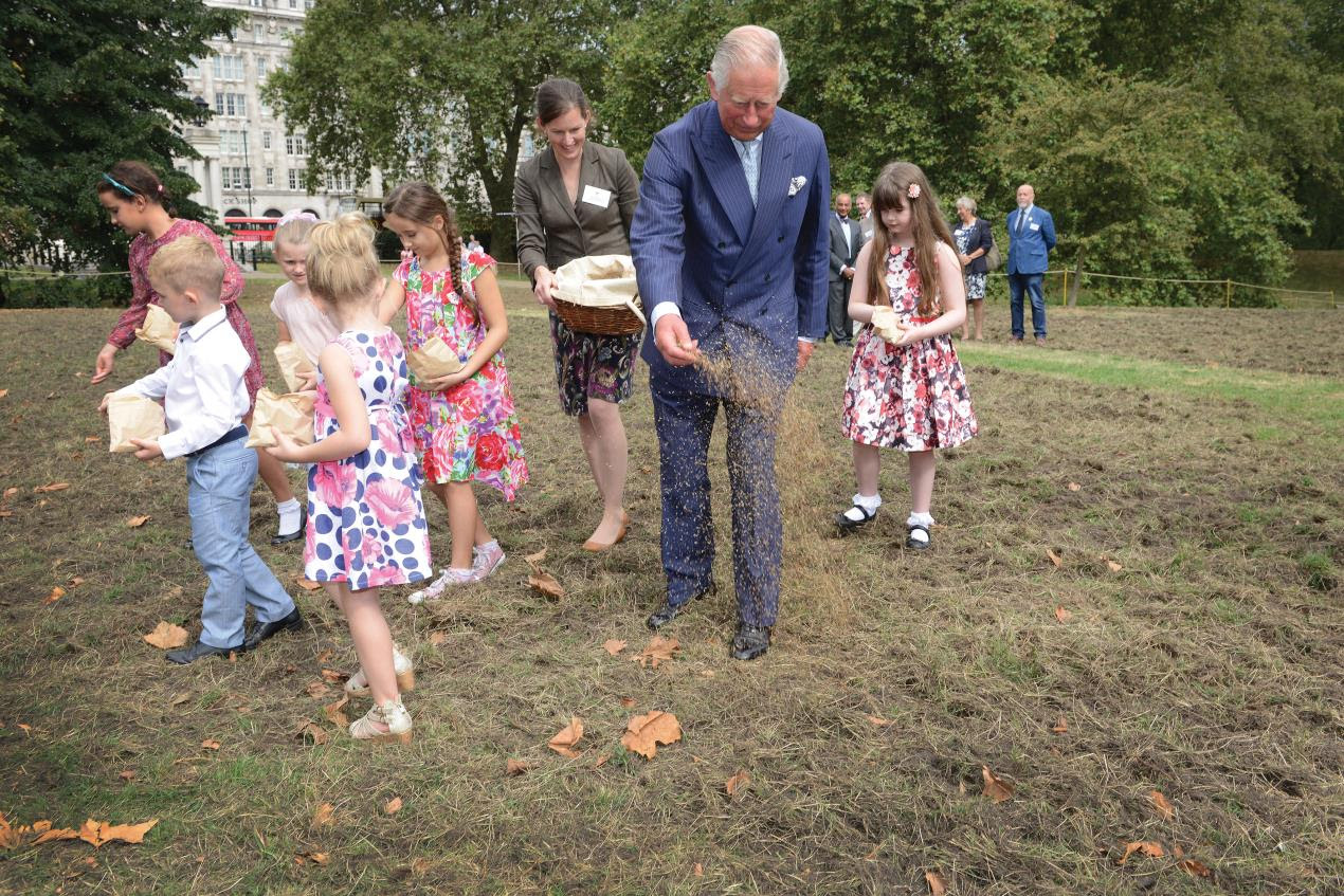 Yorkshire Dales Millennium Trust Receives Royal Endorsement from King Charles III
