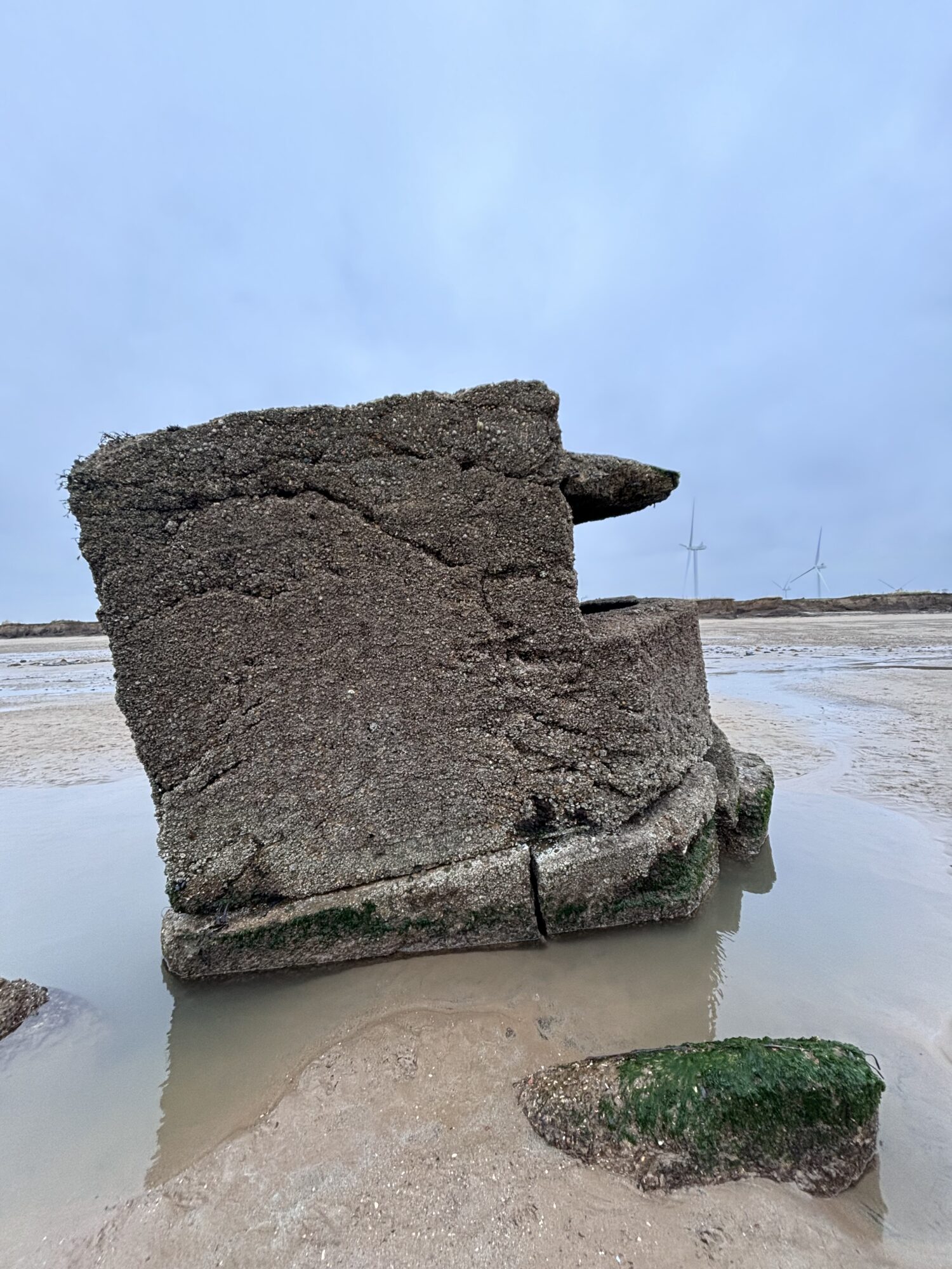 A look at the history of Fraisthorpe Pillbox, with Dr Emma Wells