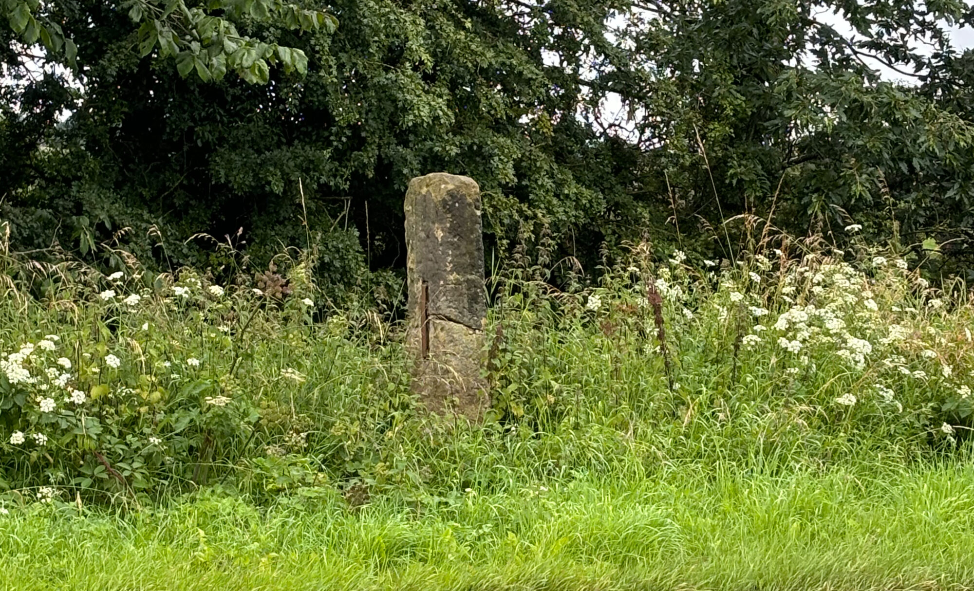 A look at the history of White Cross, Crakehall, with Dr Emma Wells