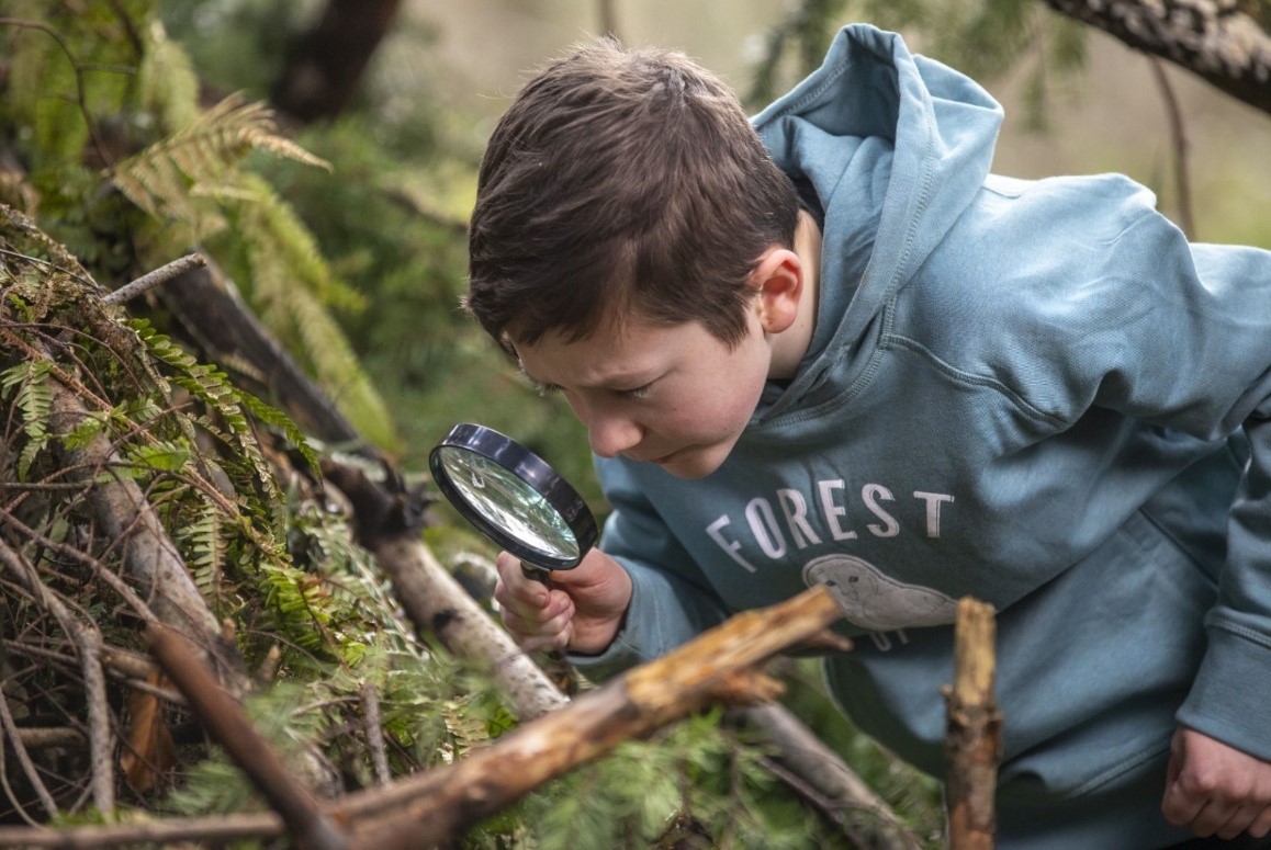 Why are Kids in Yorkshire Struggling to Spot a Beetle? Forest Holidays' Ugly Bug Hunts Might Help