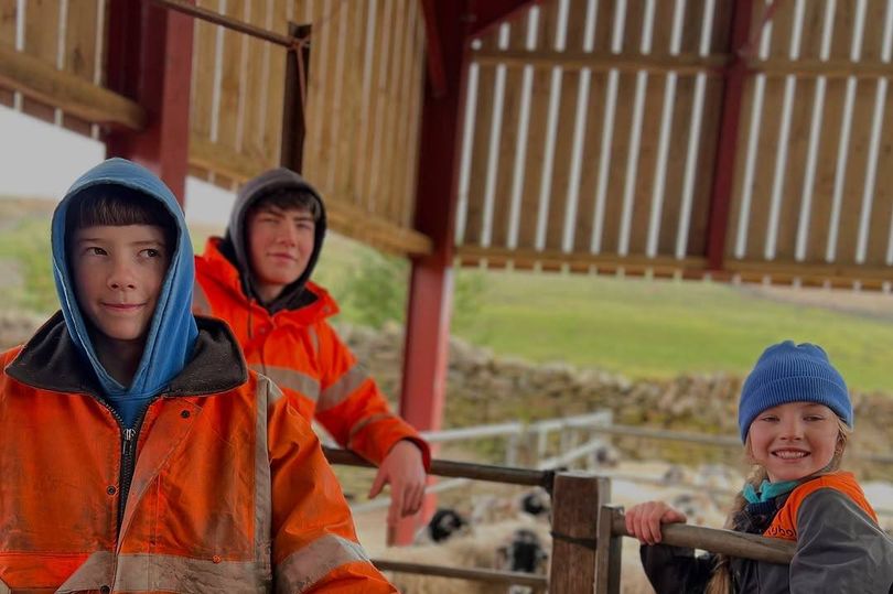 When is Our Yorkshire Farm Coming Back? Amanda Owen Teases Life on the Dales as Fans Beg For Teturn