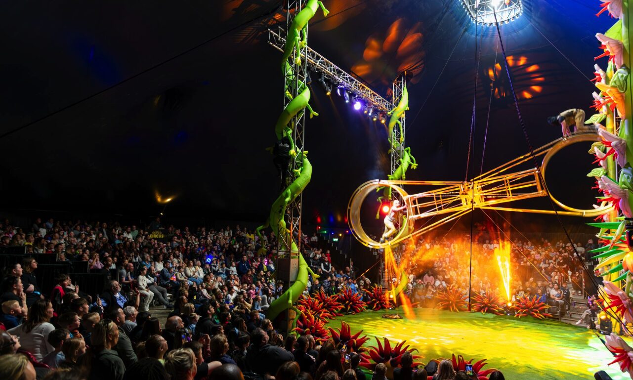 What Is The Big Kid Circus Kingdom Of Kong Anniversary Show At Xscape Yorkshire?
