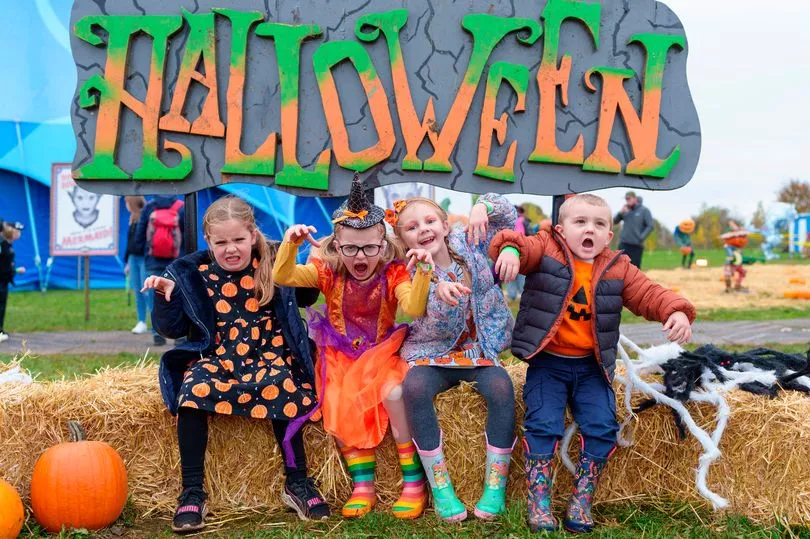 What's On At The Yorkshire Wildlife Park Halloween Extravaganza 2025?