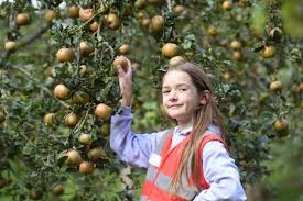 What Is The Yorkshire Apple Day Event For Bradford Schoolchildren?