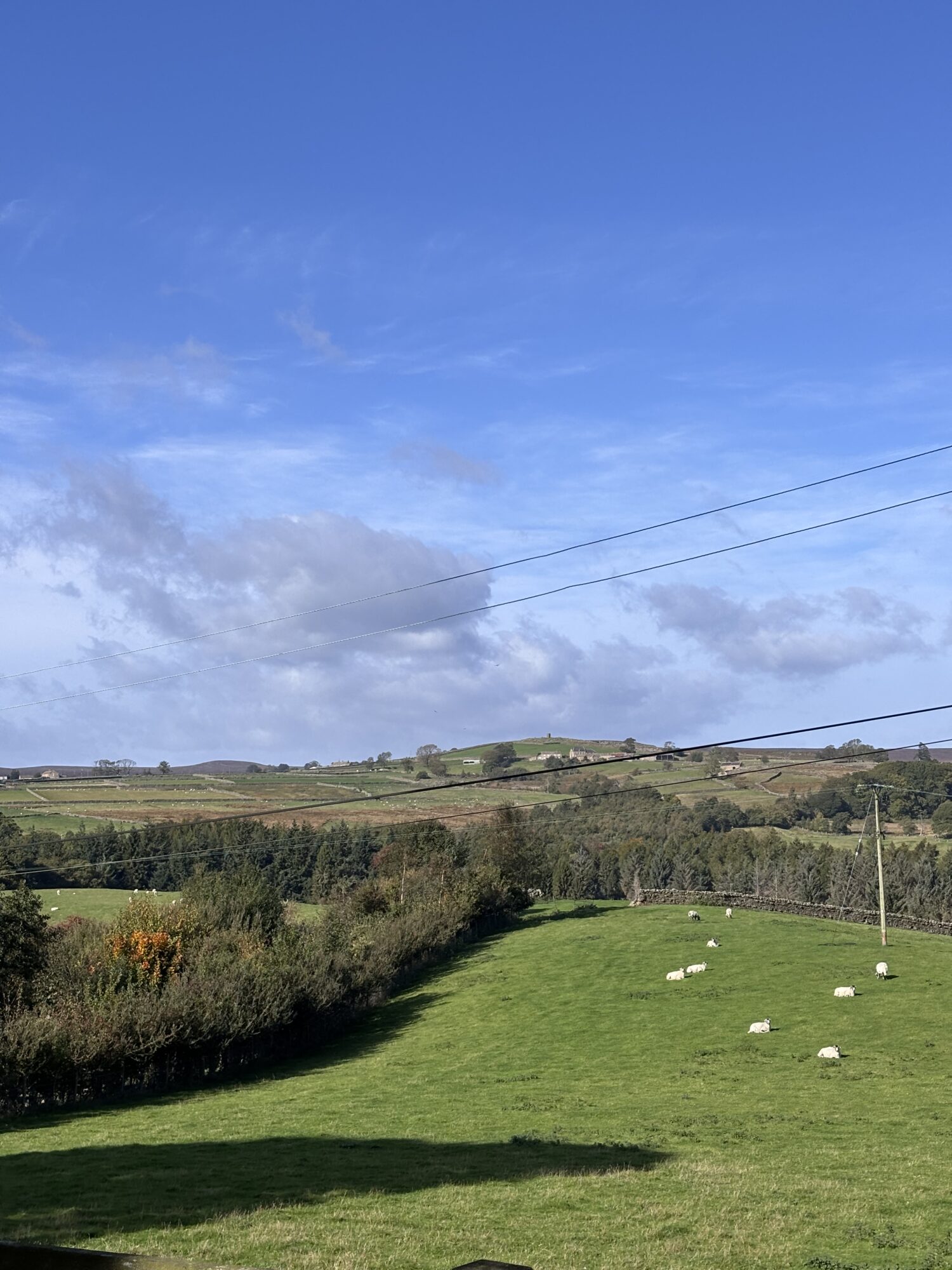 A look at the history of Greygarth Monument, Dallowgill, with Dr Emma Wells