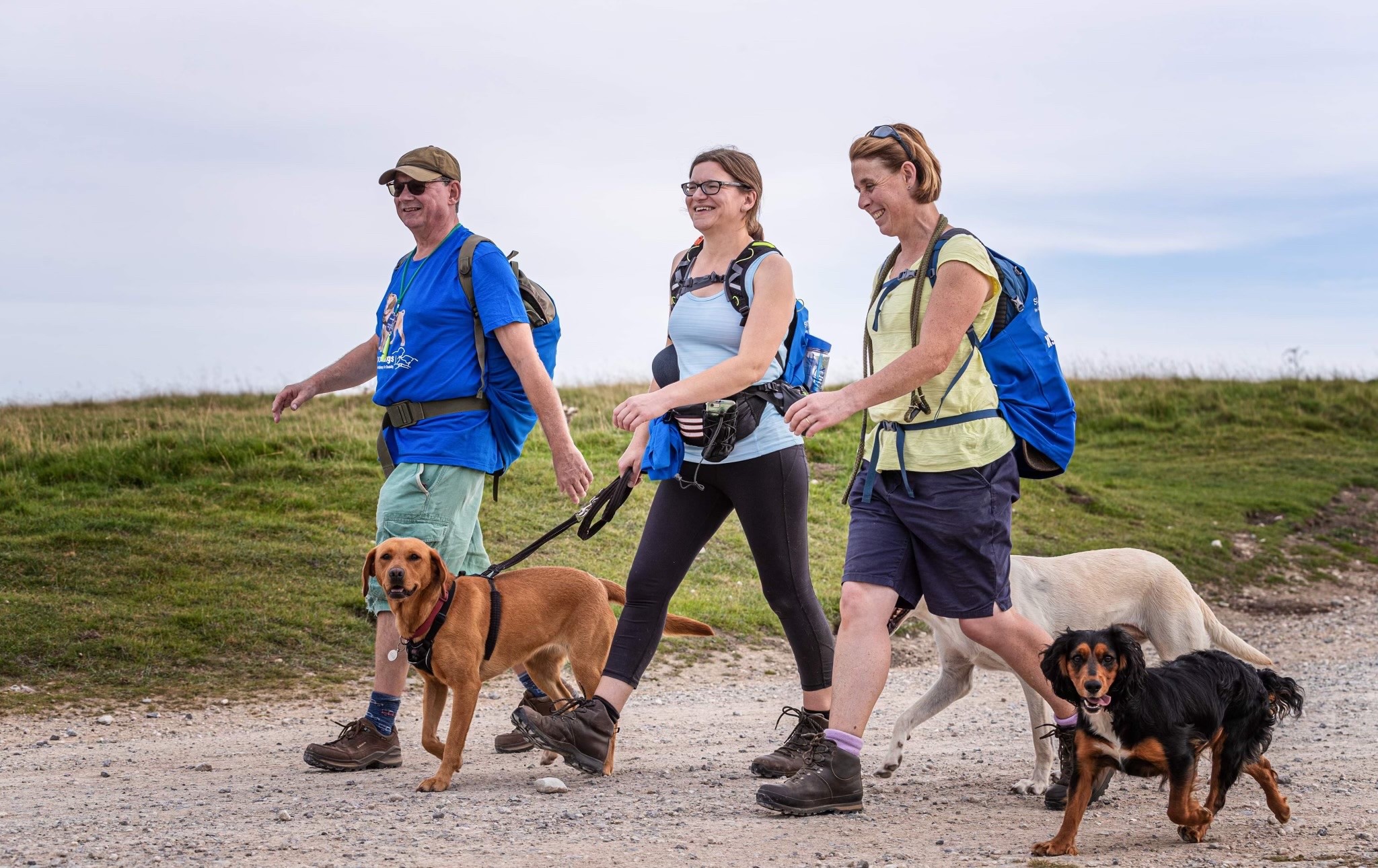 Sheffield Round Walk to Support Assistance Dogs on June 6