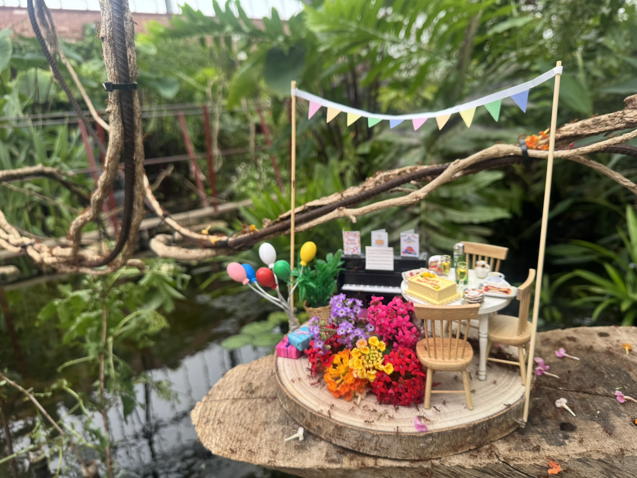 Tropical Butterfly House Celebrates Sir David Attenborough's 100th Birthday with Unique Events