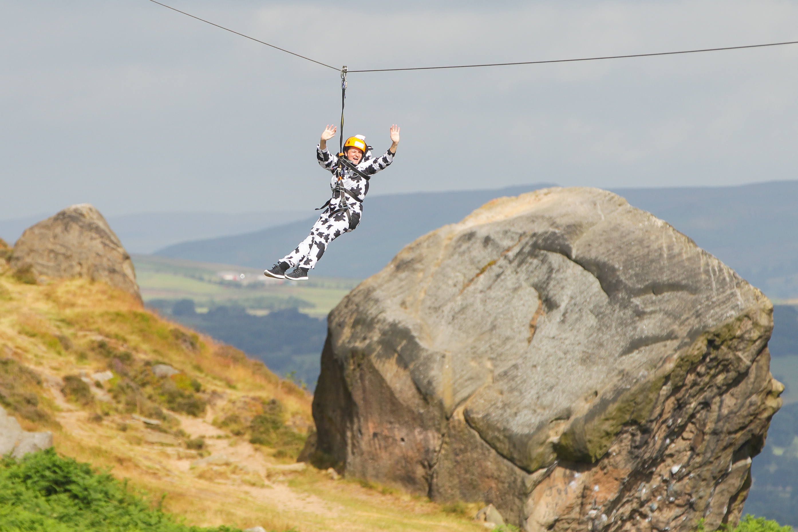 Sue Ryder's Zip the Cow Event Returns with New 'Moon-lit' Experience on July 11, 2026