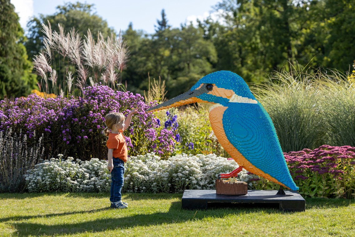RHS Gardens Launch Brick Explorers Event for Families This Summer
