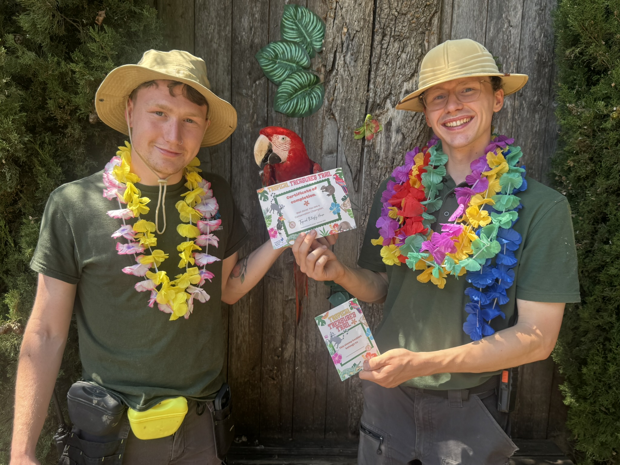 Featured image for Tropical Butterfly House Launches 'Tropical Treasures' Trail for Summer 2026 - Seasonal