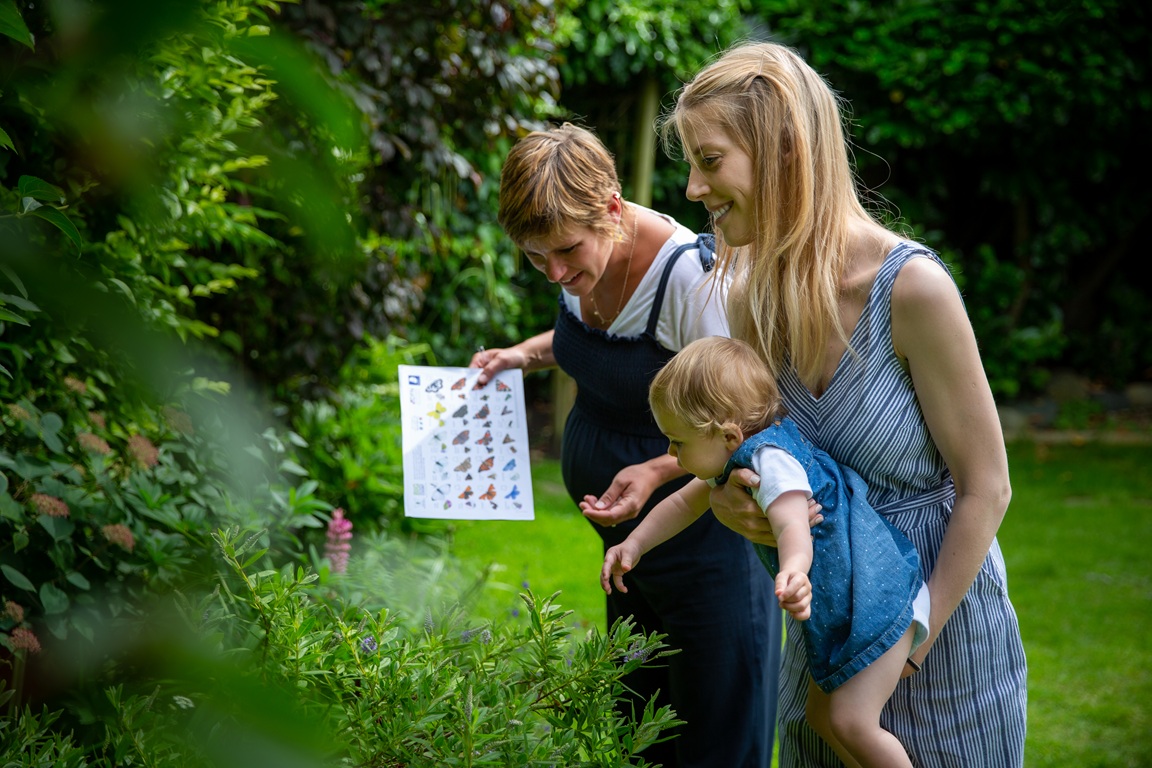 Leeds Families Invited to Participate in Big Butterfly Count 2026 Events