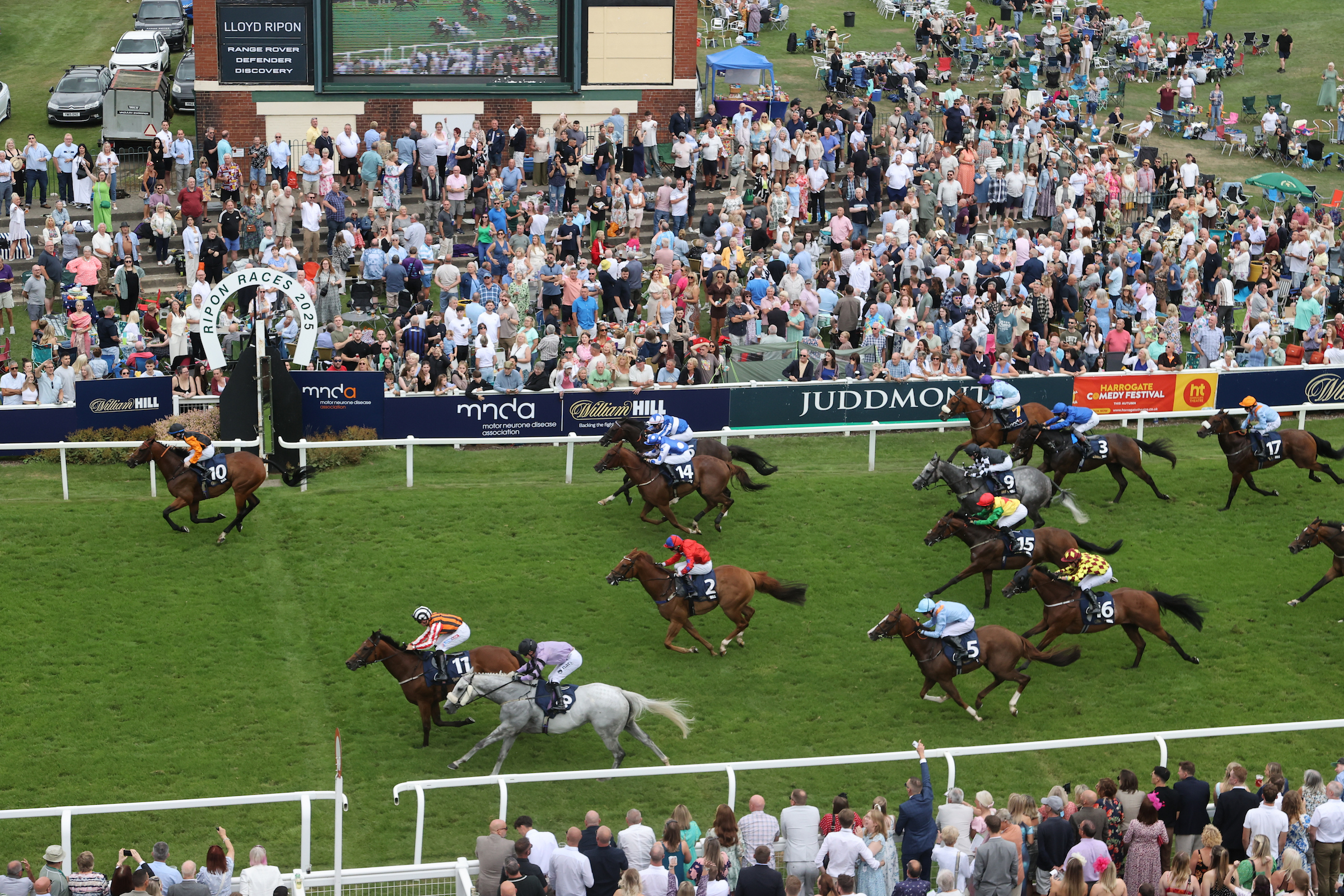 Featured image for Great St Wilfrid Day at Ripon Racecourse to Support MND Association on August 11, 2026 - Sport