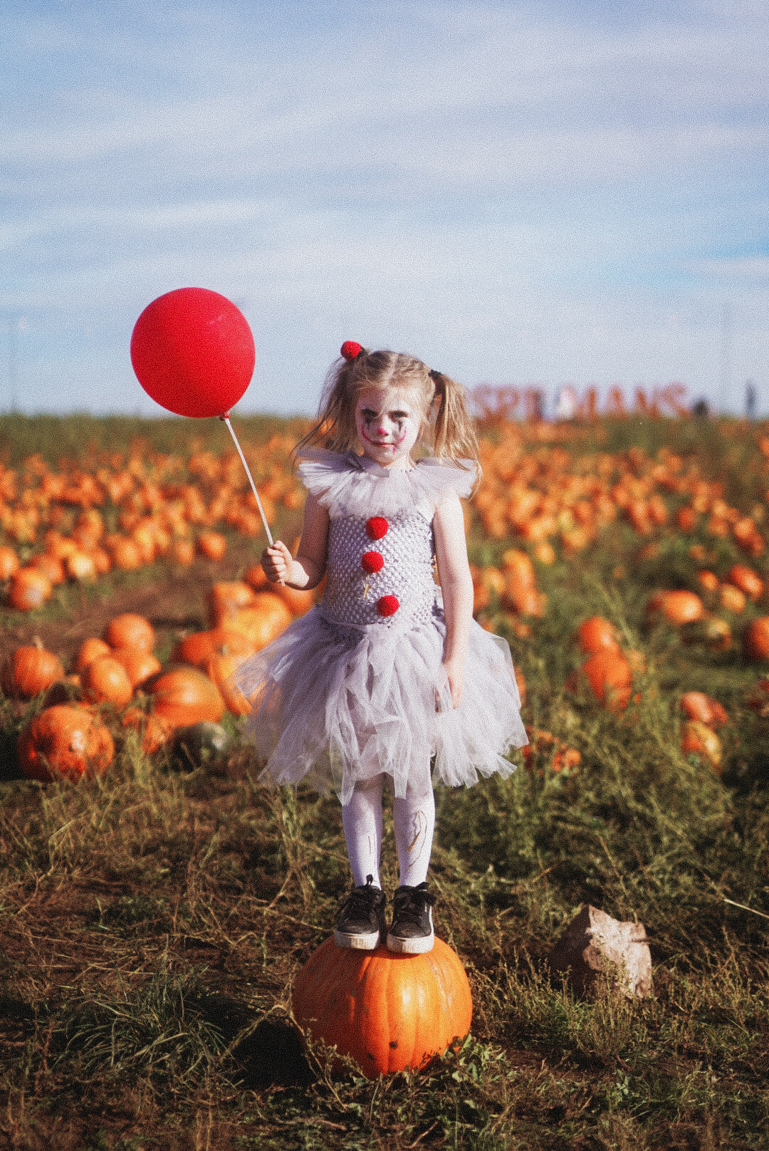 Spilmans Farm Celebrates Tenth Anniversary with Exciting Pumpkin Festival This Autumn