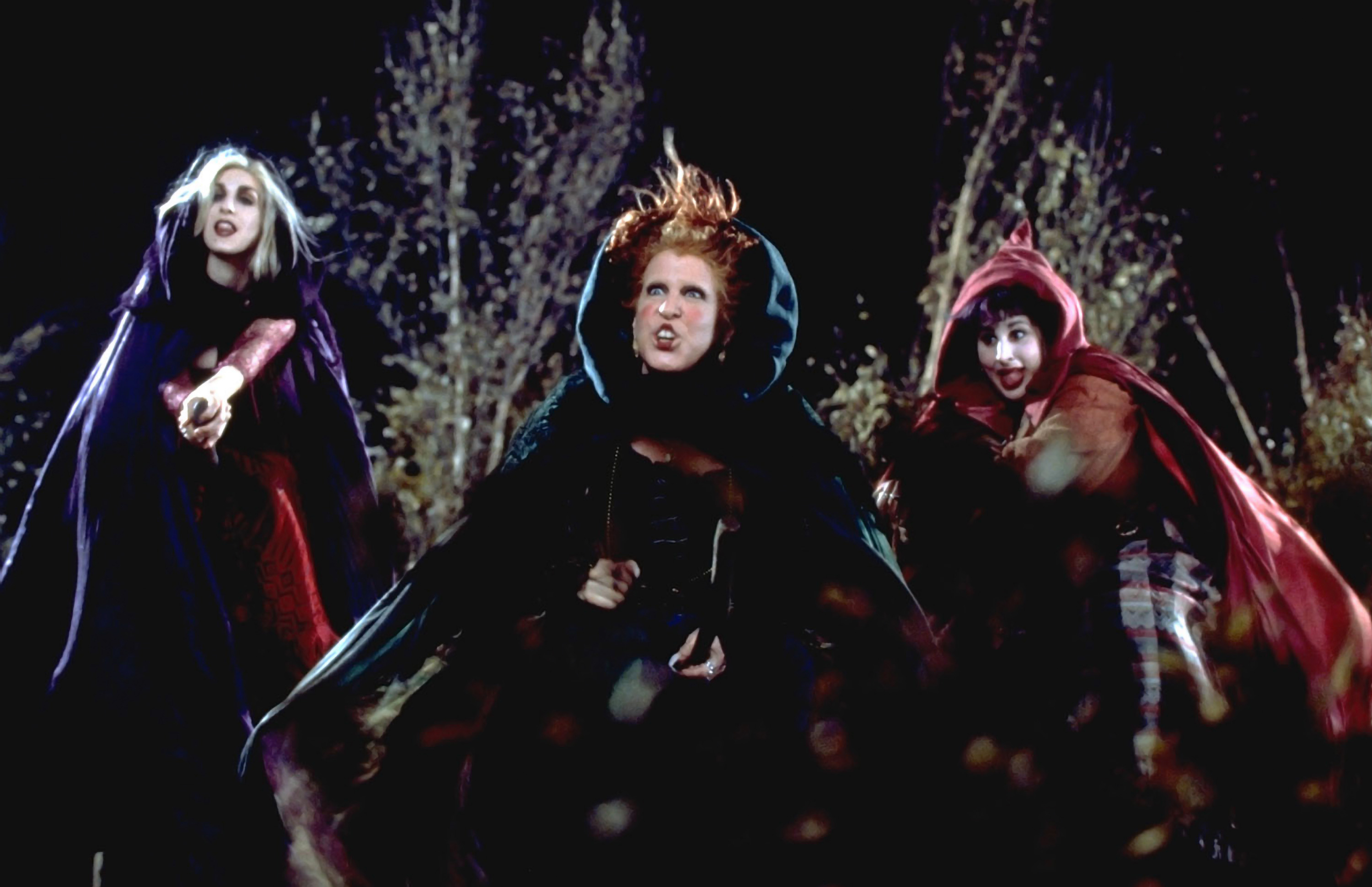 Featured image for Vue Cinemas in Yorkshire Announce Exciting Halloween Film Line-Up for October 2026 - Arts & Culture