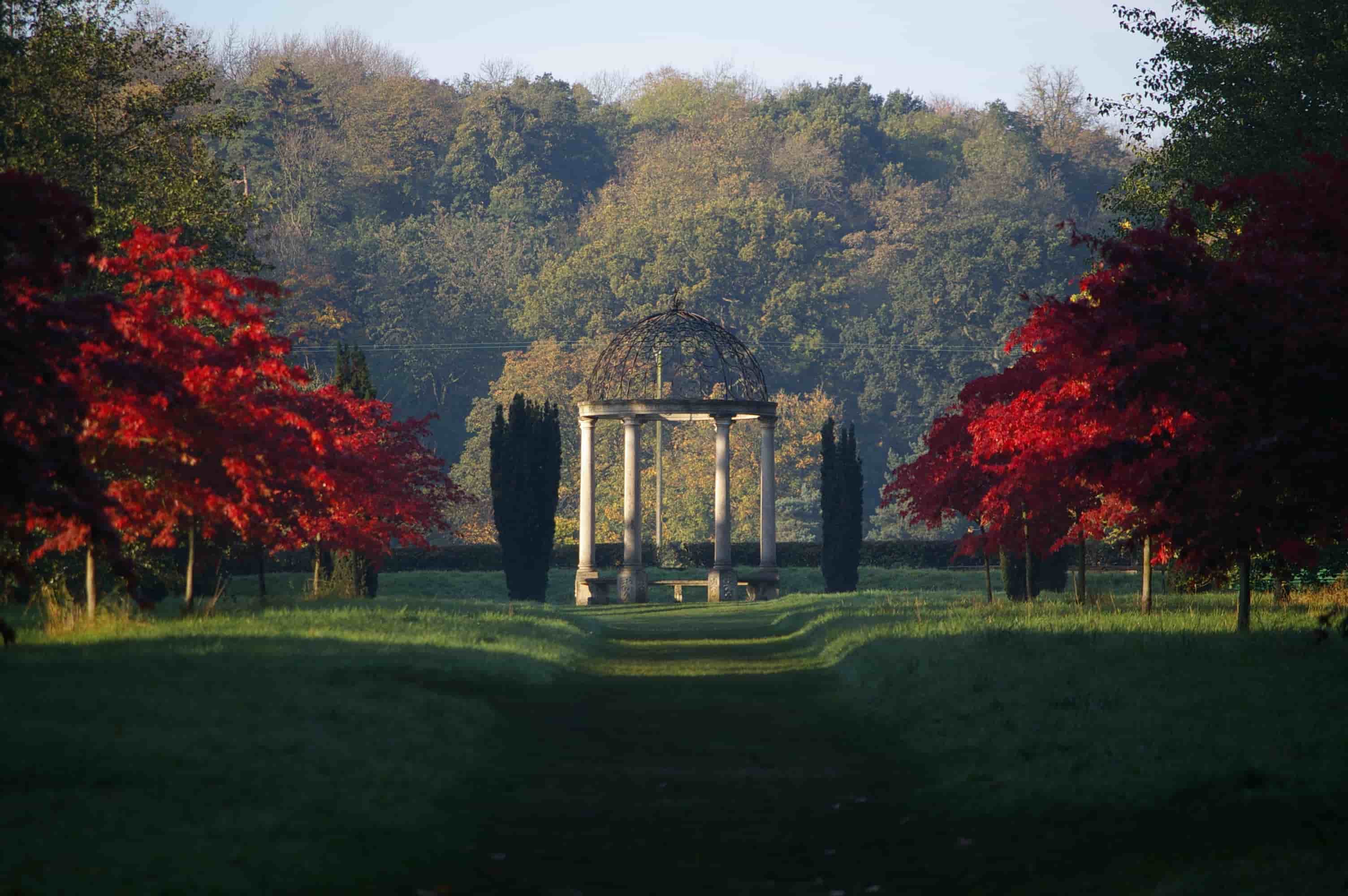 Featured image for Thorp Perrow Arboretum Launches Halloween Trail and Autumn Activities - Seasonal