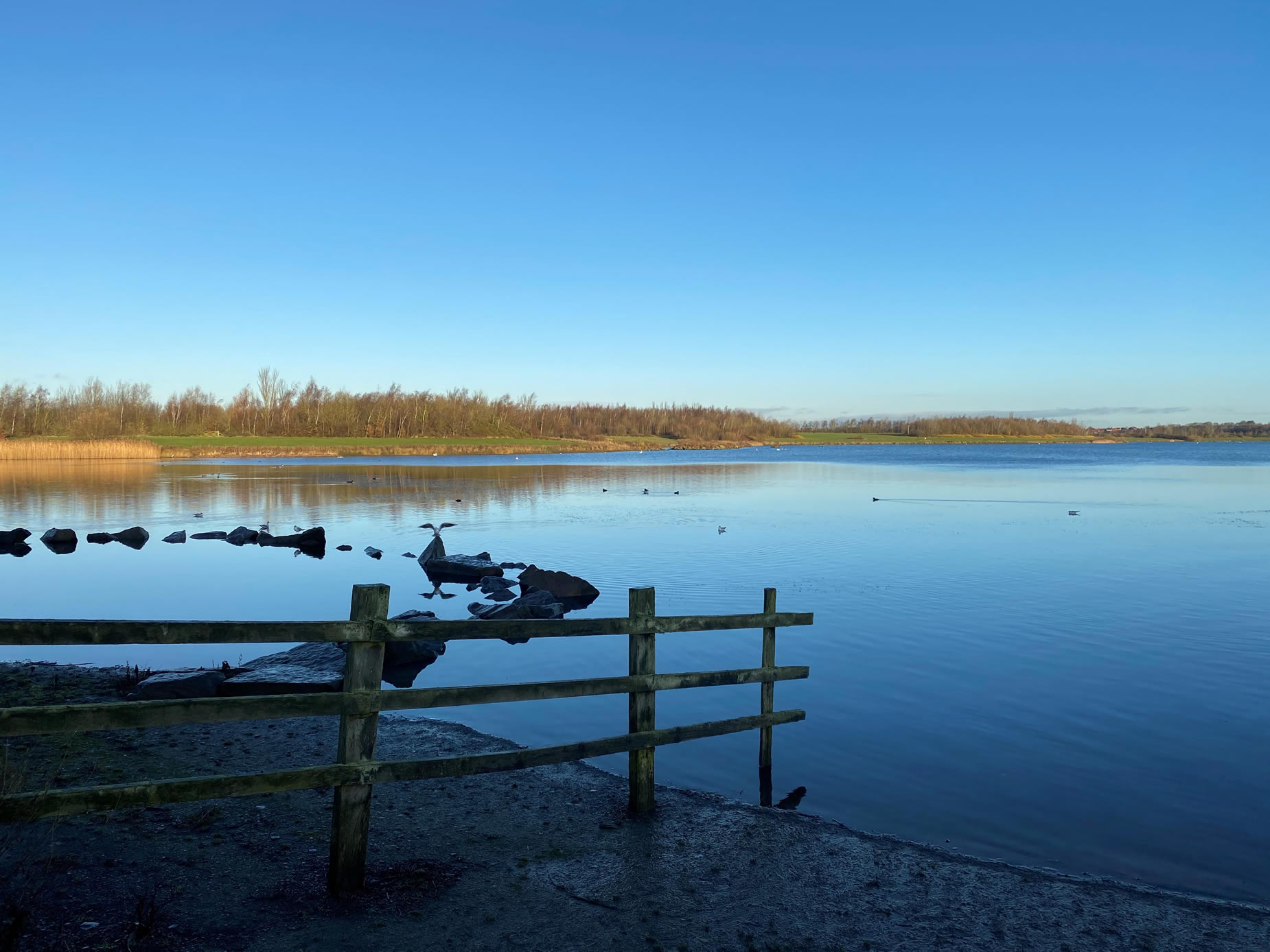 Visit Anglers Country Park - Visitor Information - parks in wakefield