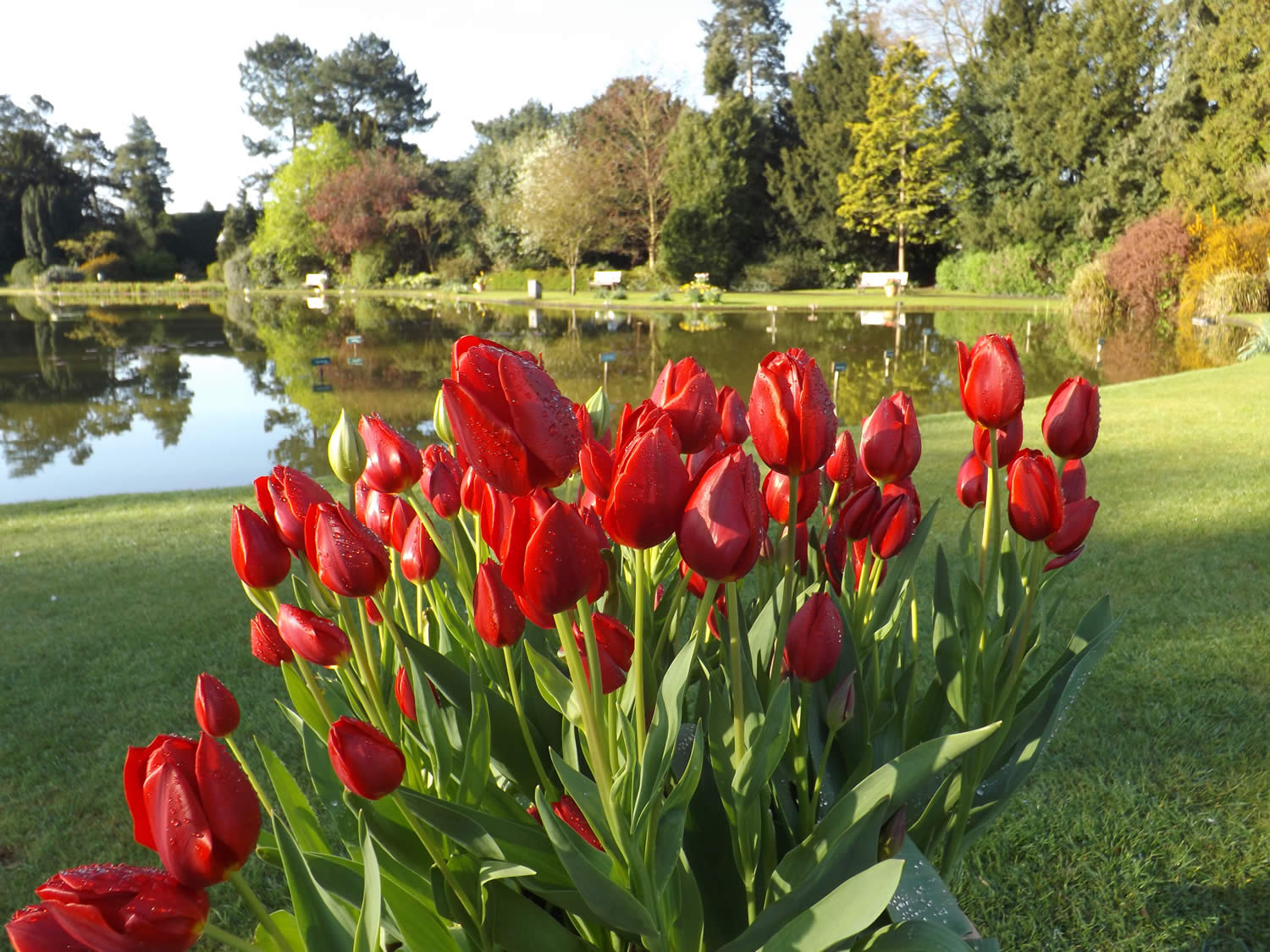 Burnby Hall Gardens and Museum