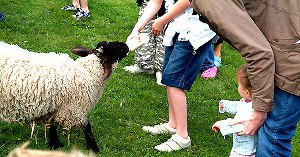 Monk Park Farm Visitor Centre - Family Attraction in thirsk
