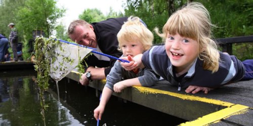 RSPB Fairburn Ings Nature Reserve