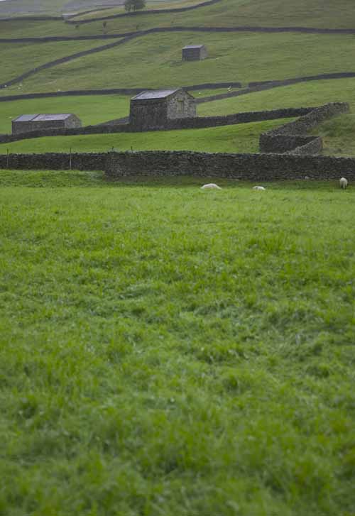 Reeth Tourist Information Centre - visitor-centres in reeth