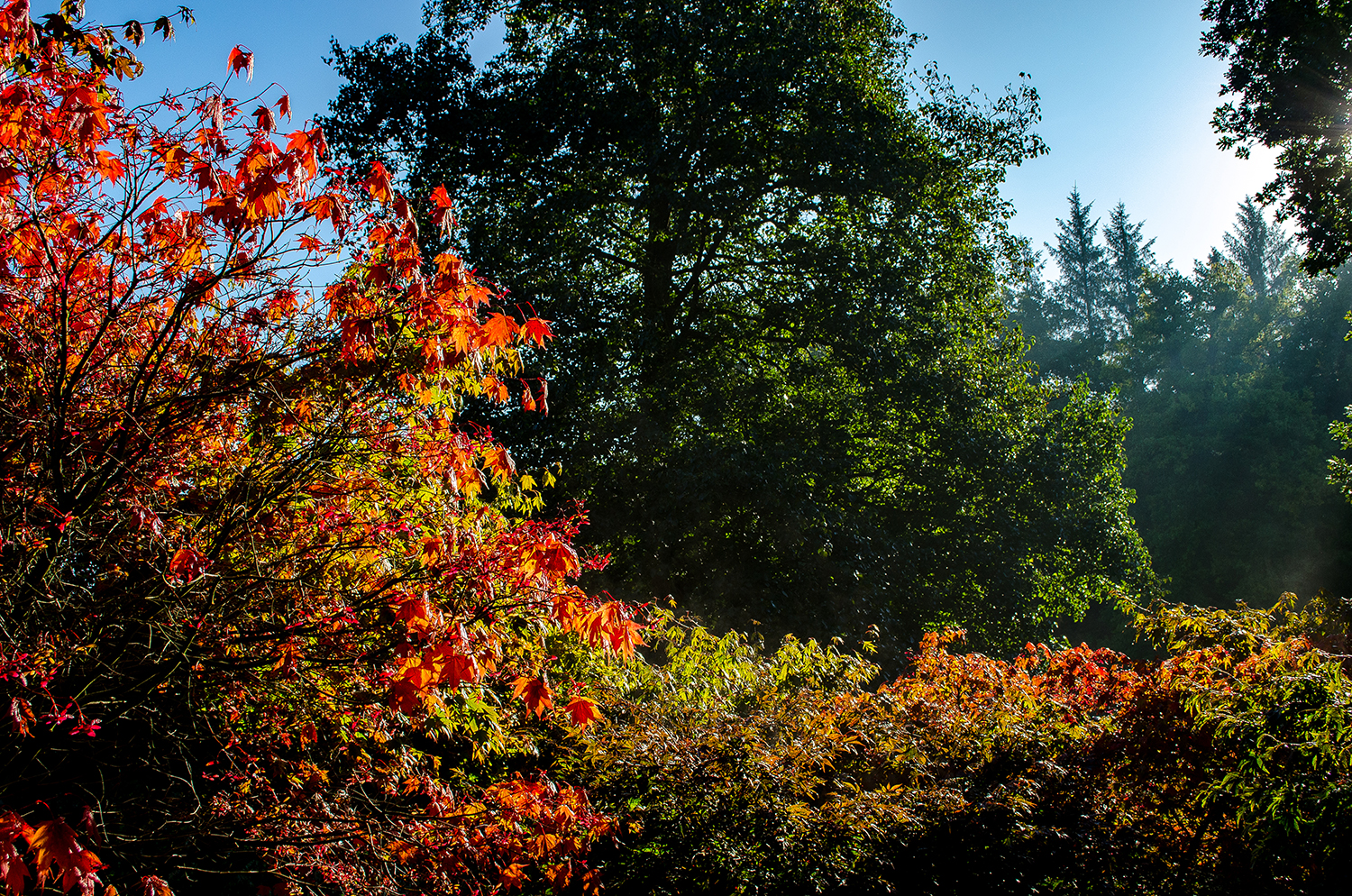 Visit The Yorkshire Arboretum