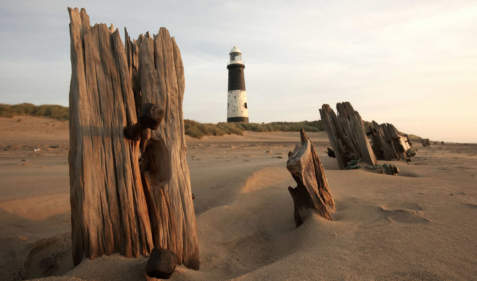 YWT Spurn - natural-features in easington east yorkshire